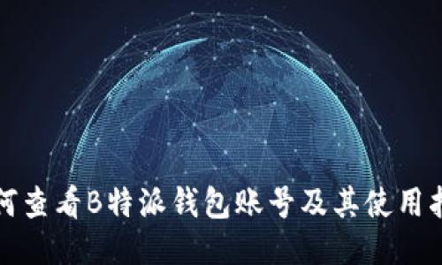 如何查看B特派钱包账号及其使用指南