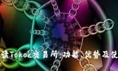 全面解读Tokok交易所：功能