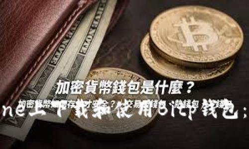 如何在iPhone上下载和使用Bitp钱包：一步步指南