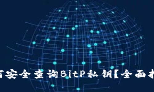 fiaoti如何安全查询BitP私钥？全面指南与策略