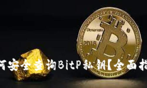 fiaoti如何安全查询BitP私钥？全面指南与策略