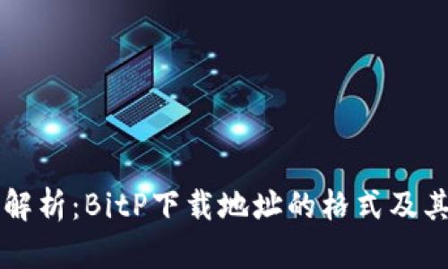 全面解析：BitP下载地址的格式及其应用