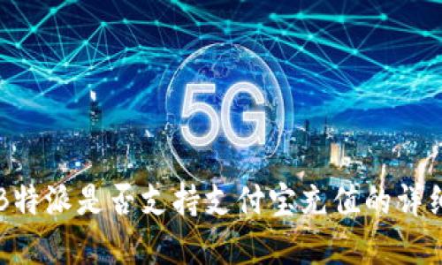 关于B特派是否支持支付宝充值的详细解读