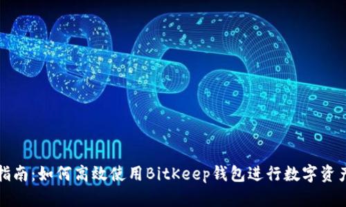 全面指南：如何高效使用BitKeep钱包进行数字资产管理