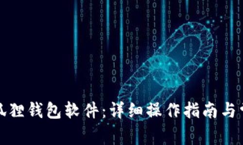 如何安装小狐狸钱包软件：详细操作指南与常见问题解答