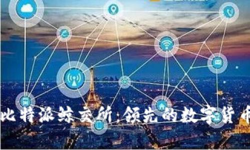 深入分析比特派鲸交所：领先的数字货币交易平台