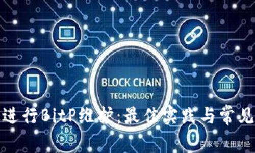 如何有效进行BitP维护：最佳实践与常见问题解答