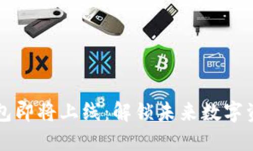 五行币电子钱包即将上线：解锁未来数字资产管理新方式