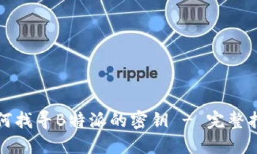 如何找寻B特派的密钥 - 完整指南