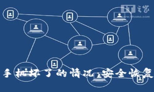 如何应对冷钱包手机坏了的情况：安全恢复与资产保护策略