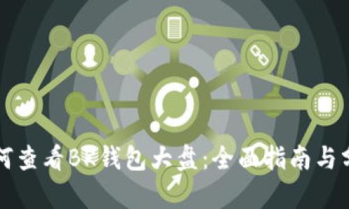 如何查看BK钱包大盘：全面指南与分析