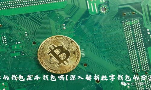 手机App中的钱包是冷钱包吗？深入解析数字钱包的分类与安全性