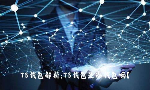 TB钱包解析：TB钱包是冷钱包吗？