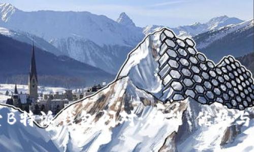 深入探索B特派钱包闪对：功能、优势与使用指南