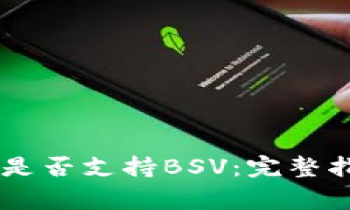 Ledger冷钱包是否支持BSV：完整指南与使用技巧