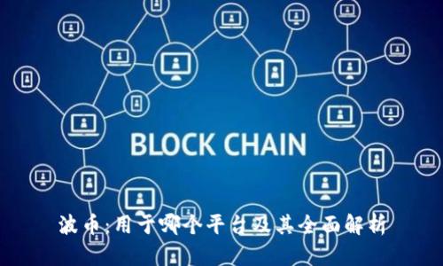 波币：用于哪个平台及其全面解析