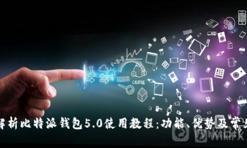 全面解析比特派钱包5.0使用教程：功能、优势及常见问题