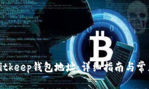 如何查询Bitkeep钱包地址：详细指南与常见问题解答