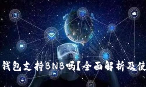 比特派钱包支持BNB吗？全面解析及使用指南