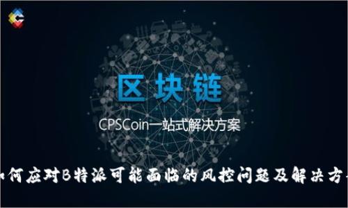 如何应对B特派可能面临的风控问题及解决方案