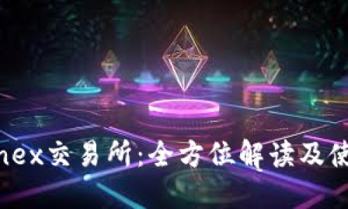 Hotcoinex交易所：全方位解读及使用指南