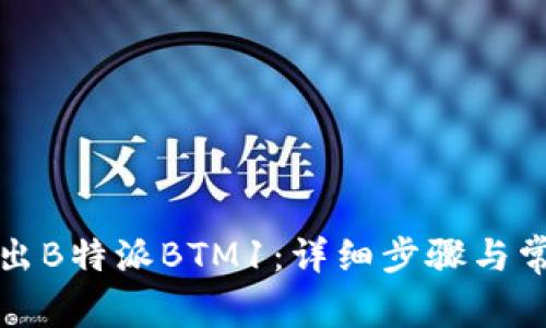 如何成功转出B特派BTM1：详细步骤与常见问题解答
