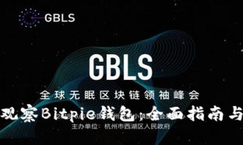 如何有效观察Bitpie钱包：全面指南与实用技巧
