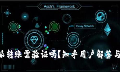 B特派转账需验证吗？知乎用户解答与指南