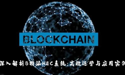 深入解析B特派HEC系统：高效运营与应用实例
