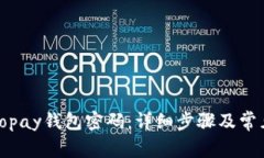 如何找回Topay钱包密码：详