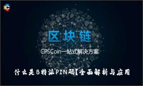 什么是B特派PIN码？全面解析与应用