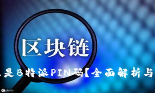 什么是B特派PIN码？全面解析与应用