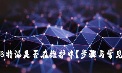 如何检查B特派是否在维护中？步骤与常见问题解答