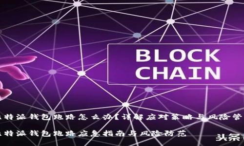 比特派钱包跑路怎么办？详解应对策略与风险管理

比特派钱包跑路应急指南与风险防范