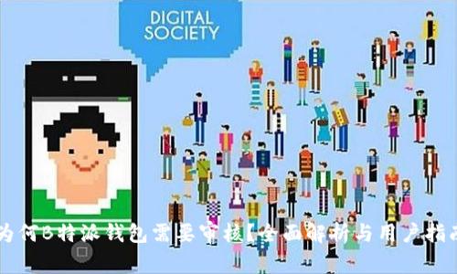 为何B特派钱包需要审核？全面解析与用户指南