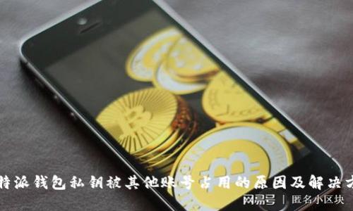 比特派钱包私钥被其他账号占用的原因及解决方案