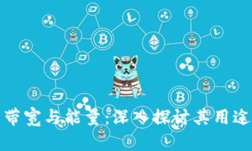 冷钱包的带宽与能量：深入探讨其用途与重要性