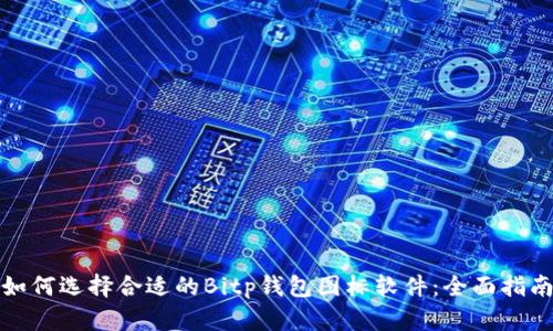 如何选择合适的Bitp钱包图标软件：全面指南