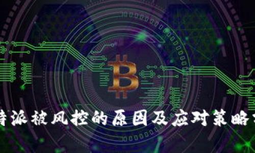 比特派被风控的原因及应对策略分析