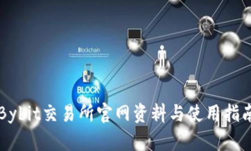 Bybit交易所官网资料与使用指南