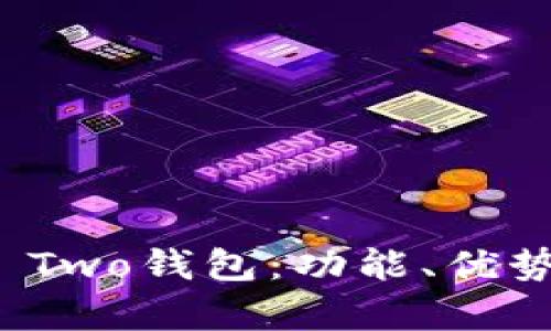 全面解读BitP Two钱包：功能、优势与安全性分析
