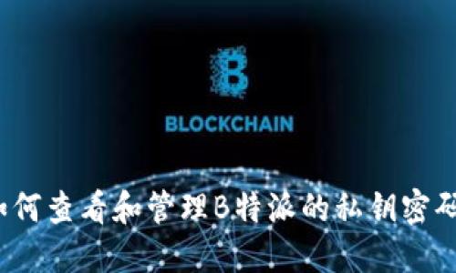 如何查看和管理B特派的私钥密码？