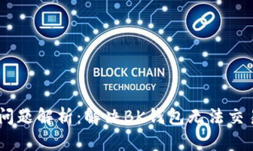 BK钱包交易问题解析：解决BK钱包无法交易的完整指南