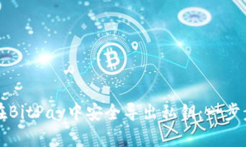 如何在BitPay中安全导出私钥：一步步指南