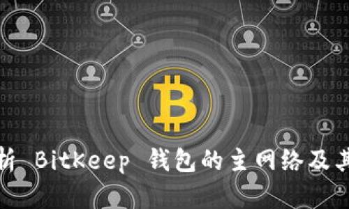 全方位解析 BitKeep 钱包的主网络及其功能优势