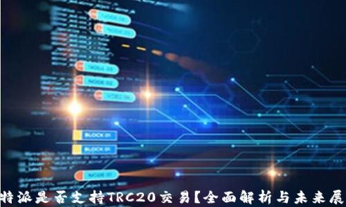 
B特派是否支持TRC20交易？全面解析与未来展望