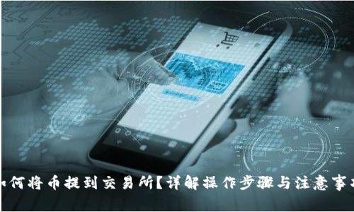 如何将币提到交易所？详解操作步骤与注意事项