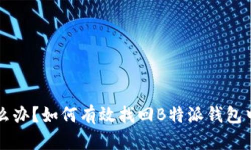 被转走了怎么办？如何有效找回B特派钱包中的数字货币