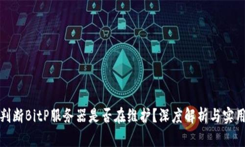 如何判断BitP服务器是否在维护？深度解析与实用技巧
