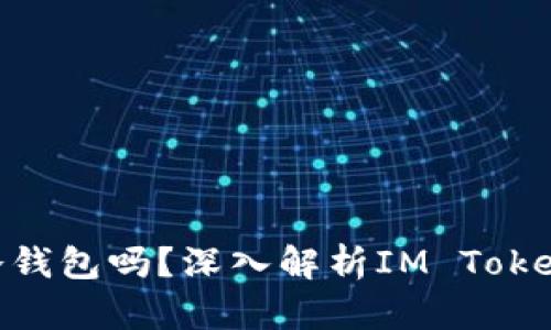 IM Token：它是冷钱包吗？深入解析IM Token的特点与安全性